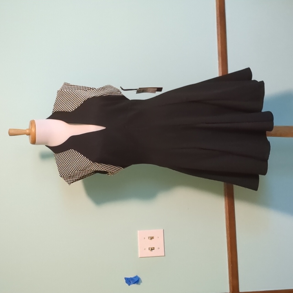 Dex by Lord and Taylor, small black dress